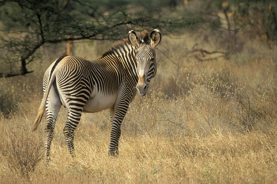 banner-image