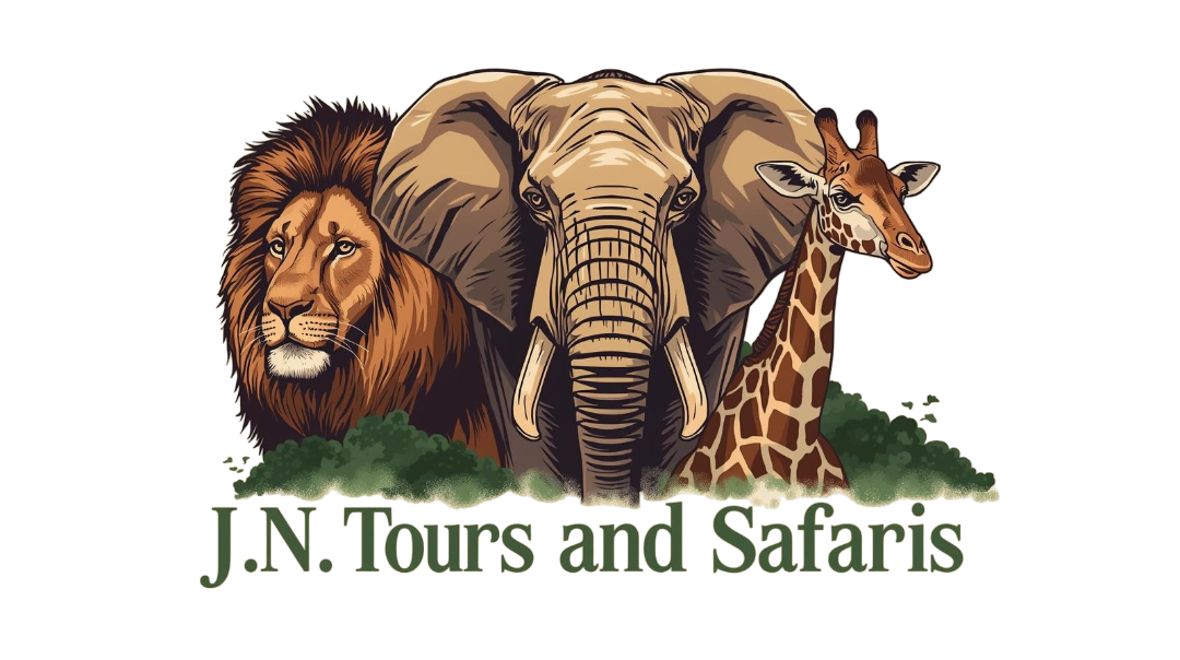 J.N Tours and Safaris